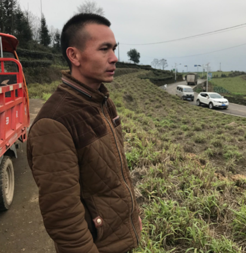 【脱贫攻坚看贵州】晴隆人走出新道路:山绿了 羊肥了 人富了