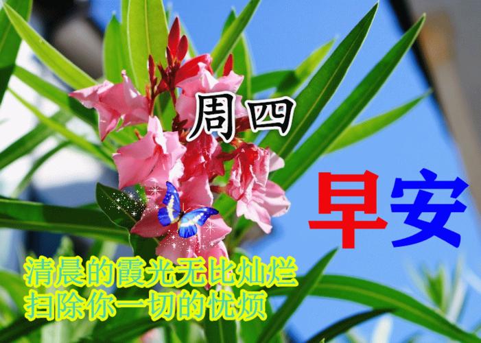 9月9日早上好动态表情图片大全早晨好动图美图大全