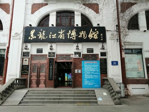 哈尔滨市博物馆_博物馆_哈尔滨_出行_出行攻略