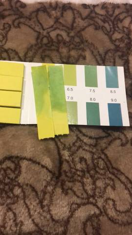 羊水测试纸会有误差吗?有时候不变色有时候就是这种