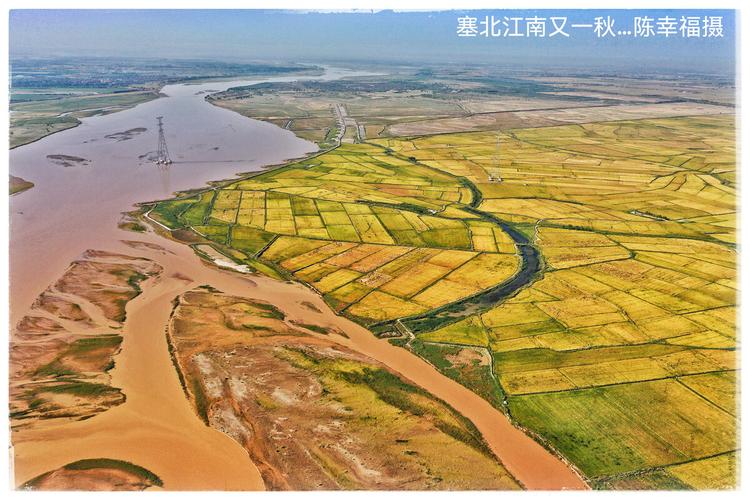 塞北之美就在黄河两岸黄色的稻谷把大地披上了一块块黄金甲应证了天下