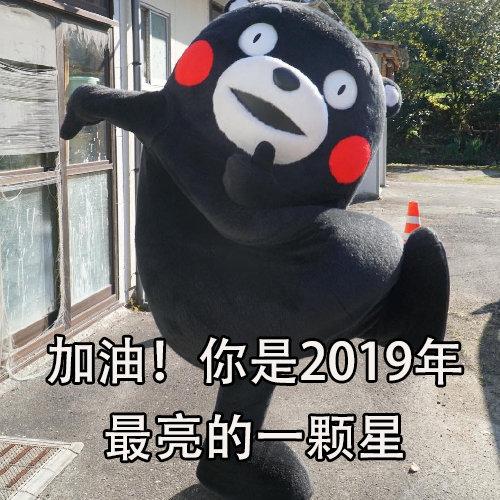 加油你是2019年最亮的一颗星元气满满地迎接2019年熊本熊2019表情