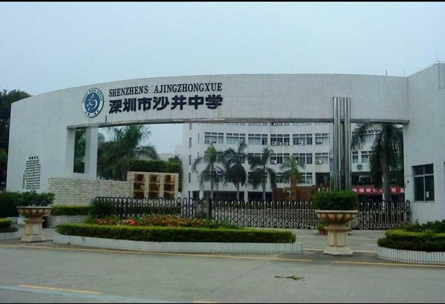 沙井中学 学校创建于1956年,是深圳市四所最老的完全中学之一,广东省
