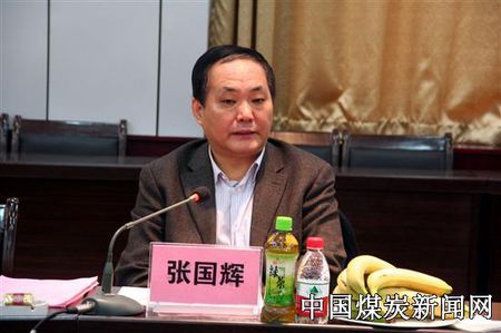 张国辉的问责情况