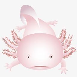 原创简笔画卡通动物手绘ai矢量免扣元素娃娃鱼蝾螈