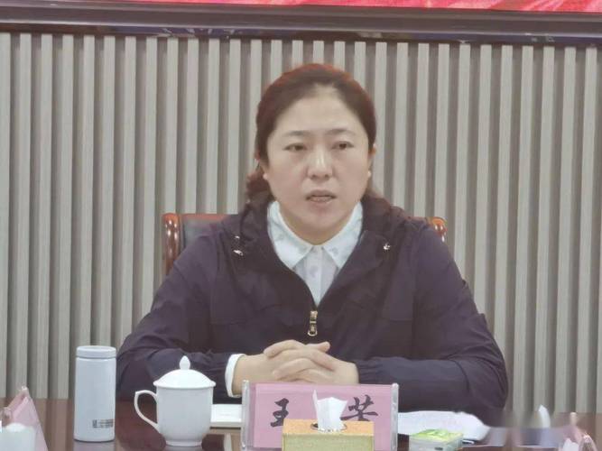 县委副书记王芳出席会议并讲话,政府副县长,公安局局长王继军,各乡镇