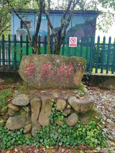 今日的集合点~岩茶村路口