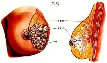警惕乳腺结节癌变这个检查不可少