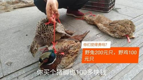 街头实拍:一只野兔200元,二只野鸡160元,你们觉得贵吗?