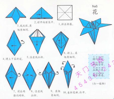寻求百合花折纸教程需要带图哦步骤详细谢谢
