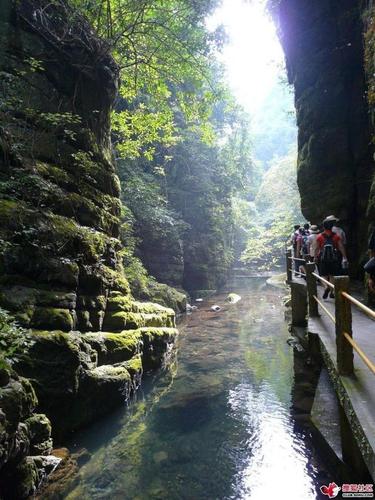 百崖大峡谷位置是在广西的来宾市武宣县东乡镇境内,最高的海拔有1200
