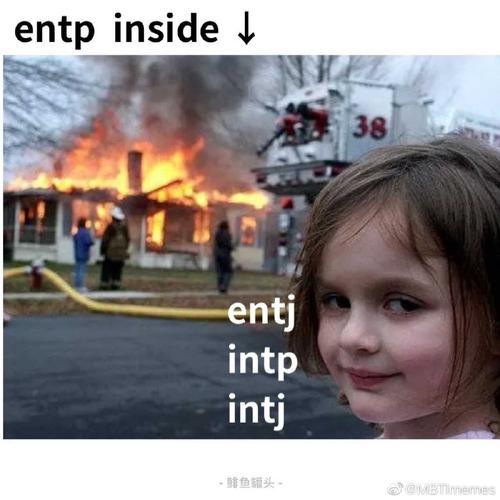 一些自制的mbti相关meme