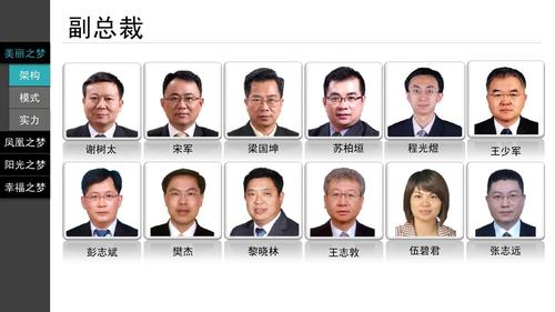碧桂园集团品牌文化介绍ppt