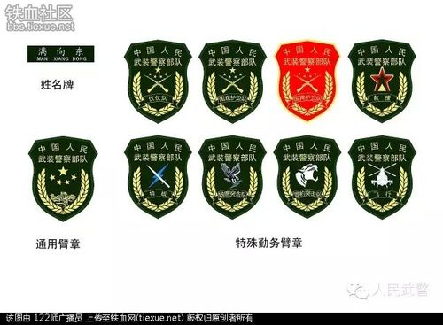 根据武警部队编制体制调整改革总体安排,武警部队机关2月29日开始佩戴