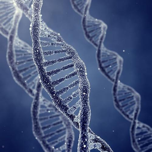 显微镜下的dna链高清图片