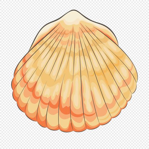 手绘/卡通元素 贝壳.png