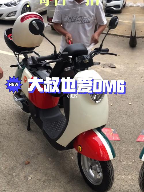 雅迪冠能dm6 大叔也爱英伦风_冠能怎么样_雅迪怎么样