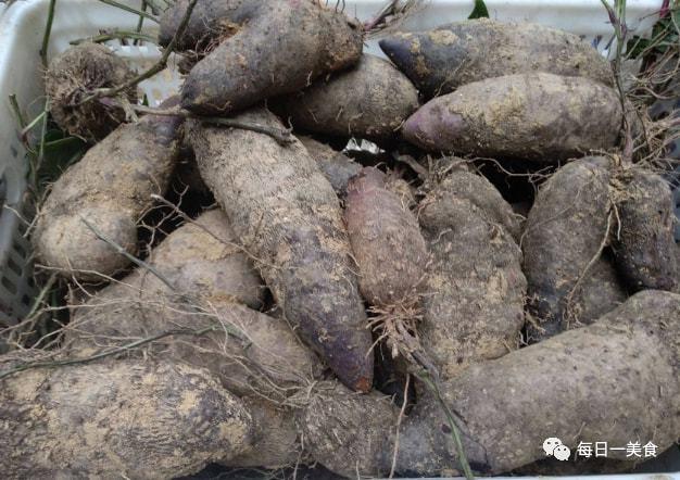 叫薯不是薯,南方特有的薯,长得像人脚板,亩产值超2万却少人种