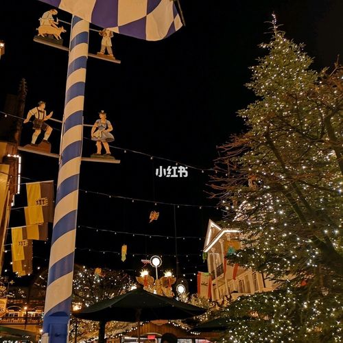 欧洲之你不能错过的主题公园-europapark ●silver star(银星过山车)