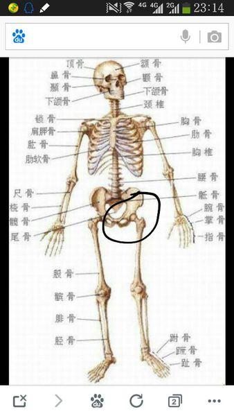 我胯骨附近经常疼痛,走多了或者做的时间长了就会痛,睡觉的时候会牵着