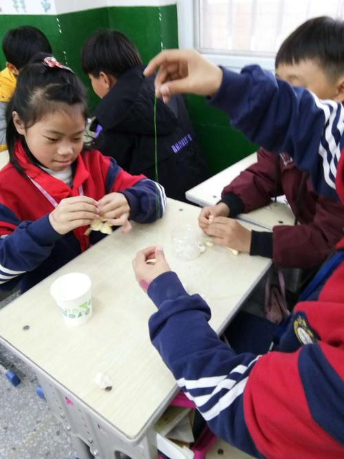 三年级劳技课水培大蒜