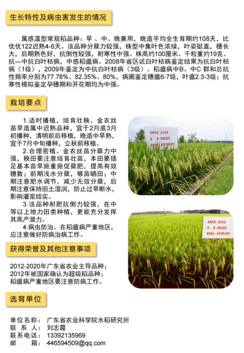 详解一起来看2021年广东省农业主导品种水稻篇