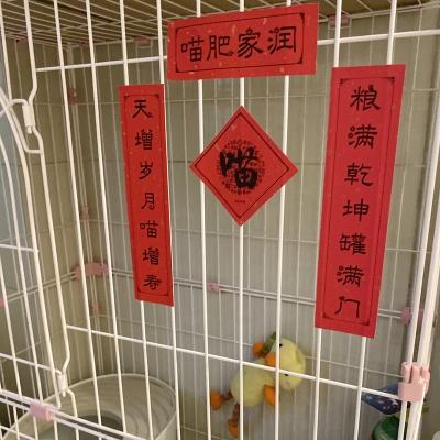 对联喵肥家宠物新年挥春趣味猫窝猫笼厕所春节对联