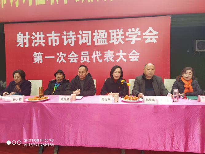市文联主席马海燕同志讲话