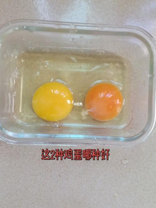 鸡蛋怎么区分真假 好与不好_美食_美食_美食展示_食材