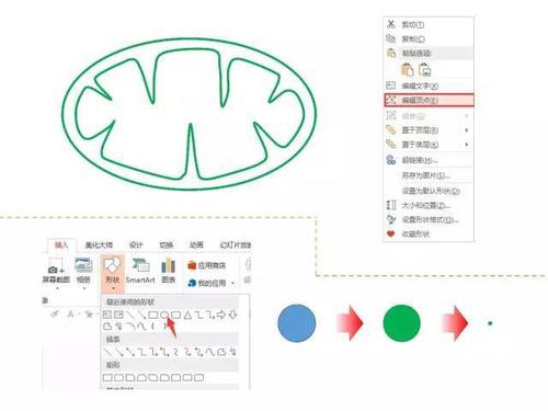 从线粒体绘制到任意图形绘制