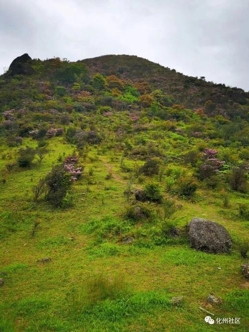 4月10日高州大水坑赏花,登山一日游