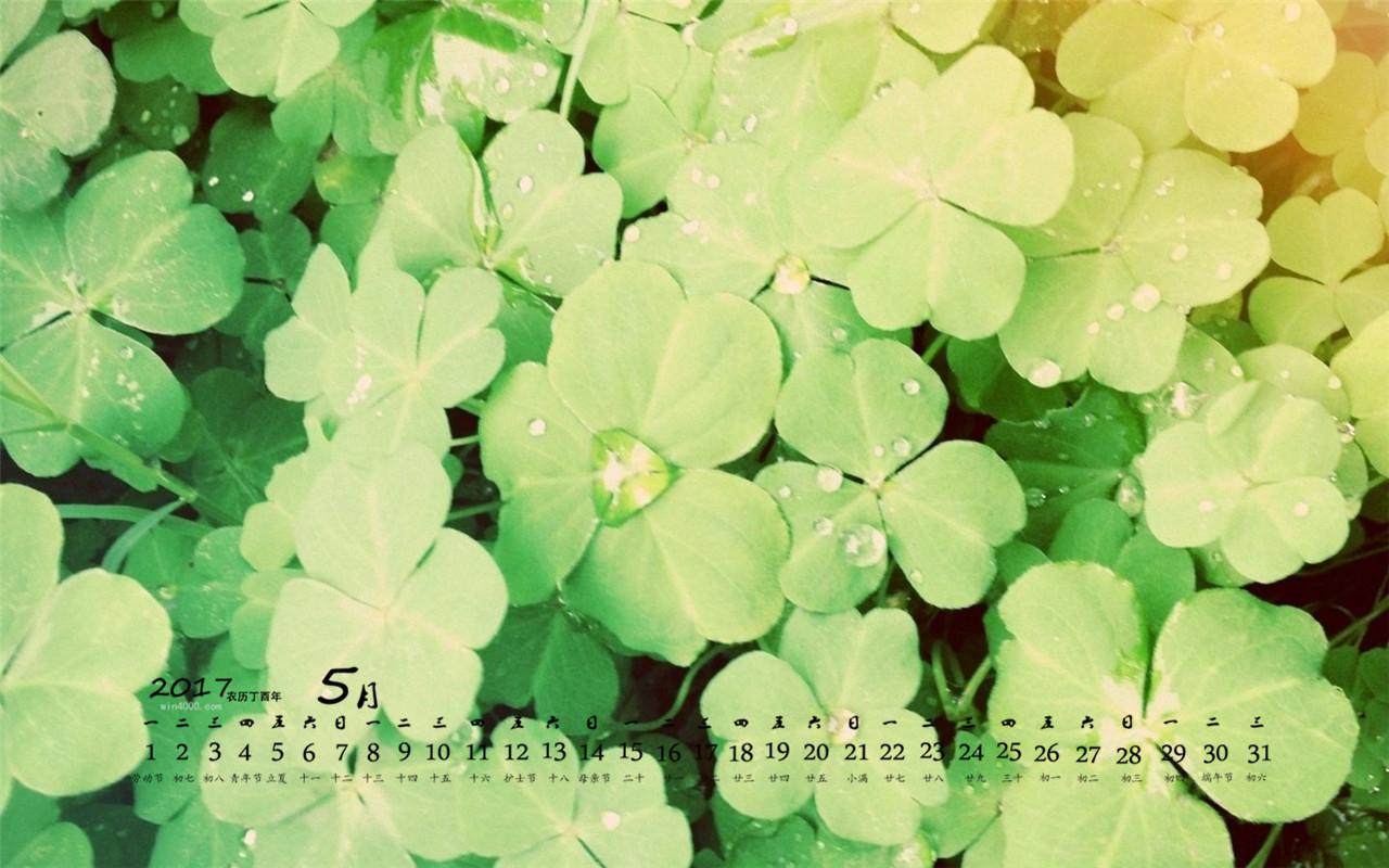 2017年5月小清新植物桌面日历壁纸