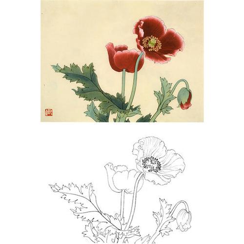 俞致贞花卉小品-罂粟花-jv57