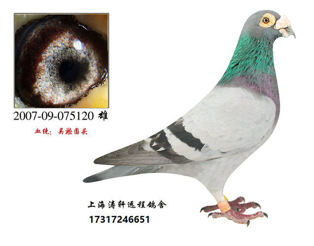 国血吴淞120