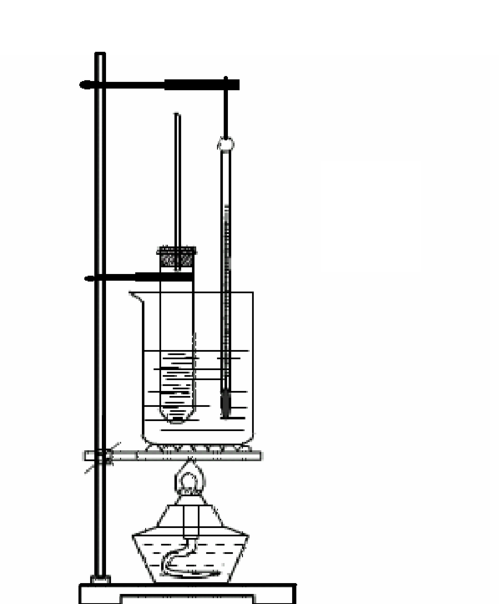 四.硝基苯的制备 1,药品: 2,反应原理: 3.加药顺序: 4.
