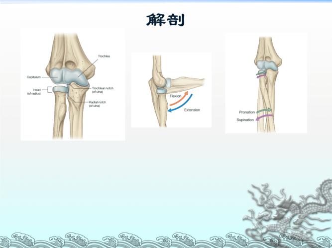 尺骨鹰嘴骨折试卷.ppt