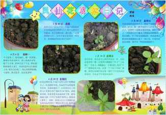 种植草莓观察记录手抄报 手抄报简单又好看