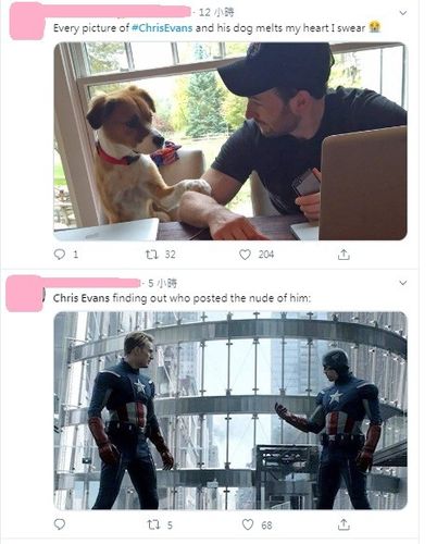 网民截图疯传,粉丝疯贴「爱犬照」洗版!