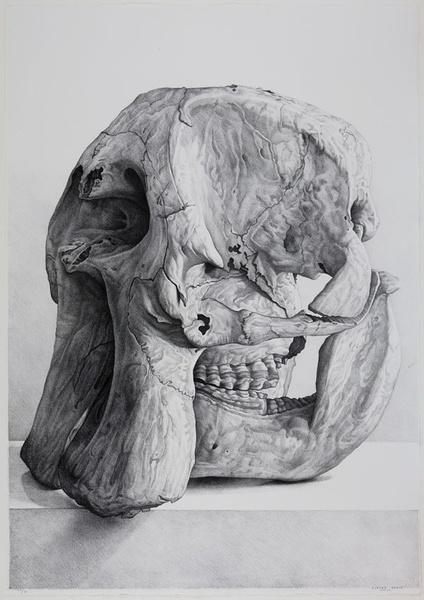 zhangweixing007的相册 - 布雷沃大师油画