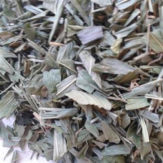 统叶淡竹叶/淡竹叶片/青色淡竹叶