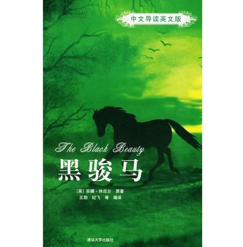 黑骏马 black beauty