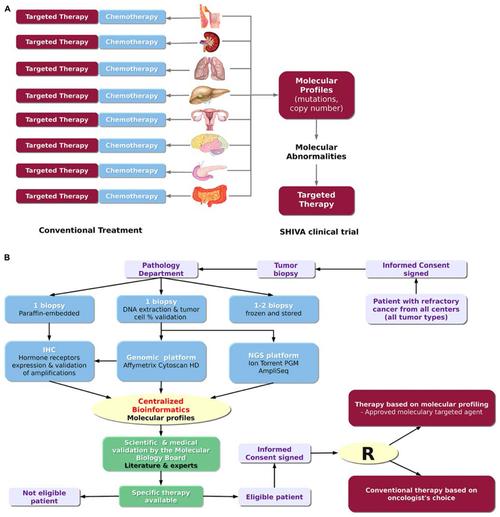 bioinformatics for precision medicine in oncology: principles