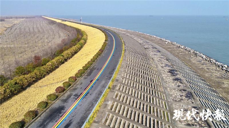 最美长江段!常熟铁黄沙生态岛再次限时开放!倒计时2天!