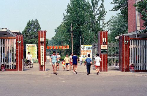 事业在奋斗中出彩 | 郑州大学体育学院建校六十周年回眸