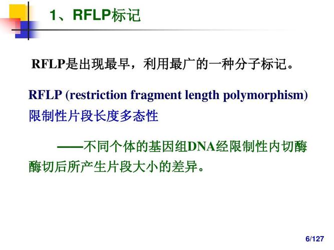 分子标记辅助选择育种-useppt