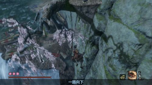 只狼龙之还乡11樱龙之泪