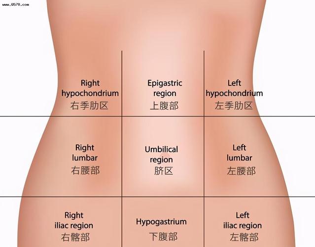 左侧腹部疼痛,是哪些病引起的?去医院要做什么检查?医生告诉您