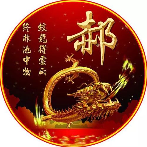 超霸气的黄金龙姓氏头像属龙的赶紧领走你的姓氏