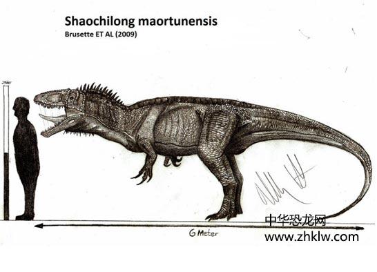 假鲨齿龙亚洲的白垩纪肉食恐龙