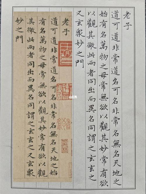 硬笔书法 临摹 赵孟頫 老子道德经_道德经_硬笔书法_临摹_练字_中性笔